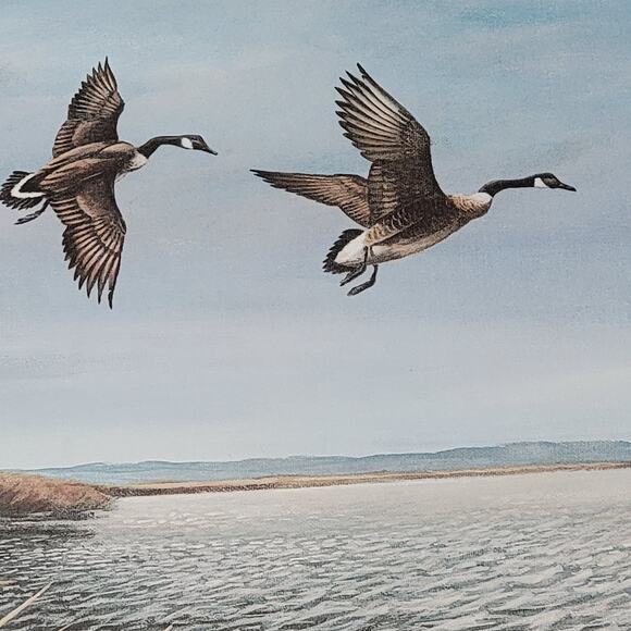 1981 Duck Stamp Press Print Pencil Signed & Numbered By Clark Sullivan 23x18 - Picture 7 of 8